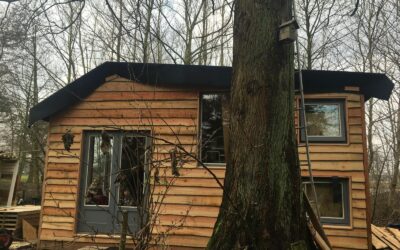 Gedroomde stadsnatuur