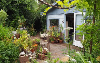 Meldpunt ‘Ik zoek een volkstuin in Rotterdam’