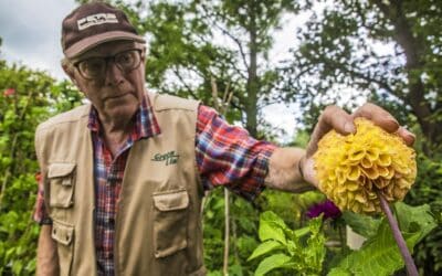 Een groene tuin heeft gunstig effect op gezondheid